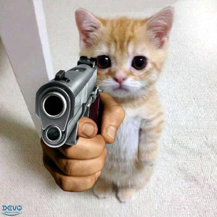 142+ Meme Mèo Cầm Súng AK súng FF ngầu lòi cười xỉu