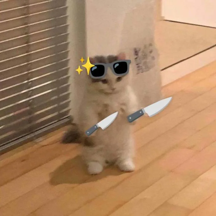 Funny Cat Meme with a Knife | Chém đầu, Mèo cầm dao, Chó mèo cute