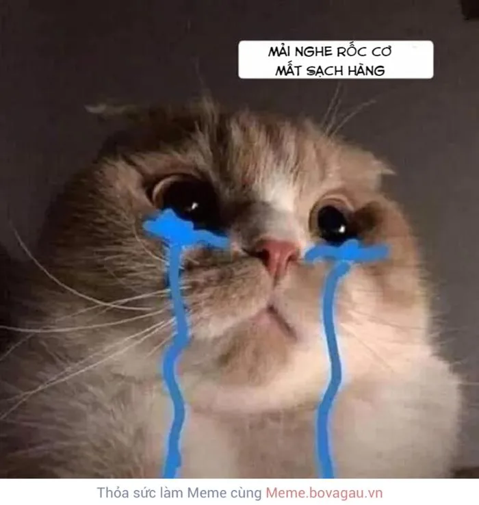 Meme Mèo Khóc Là Gì? Những Meme Mèo Khóc Hay Dành Cho Nhà Đầu Tư