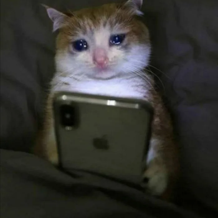 Các mẫu meme mèo khóc viral nhất cõi mạng và điều thú vị phía sau