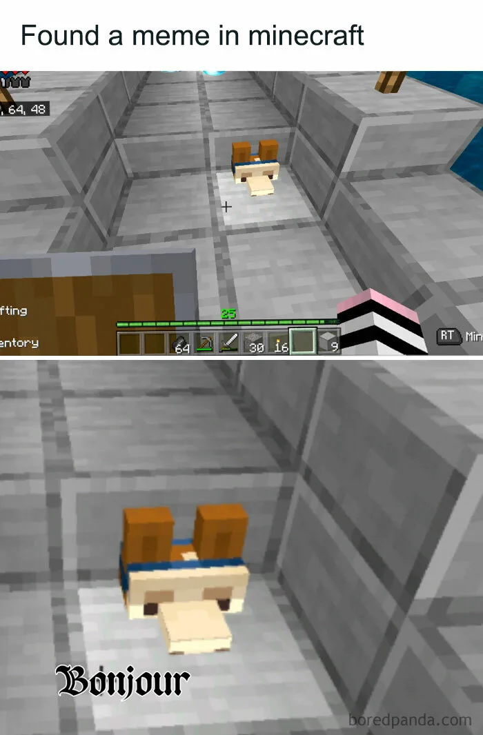 Dank Memes Funny Clean Minecraft Memes 49 Minecraft Memes: The Ultimate  Collection For Hardcore Fans Bored