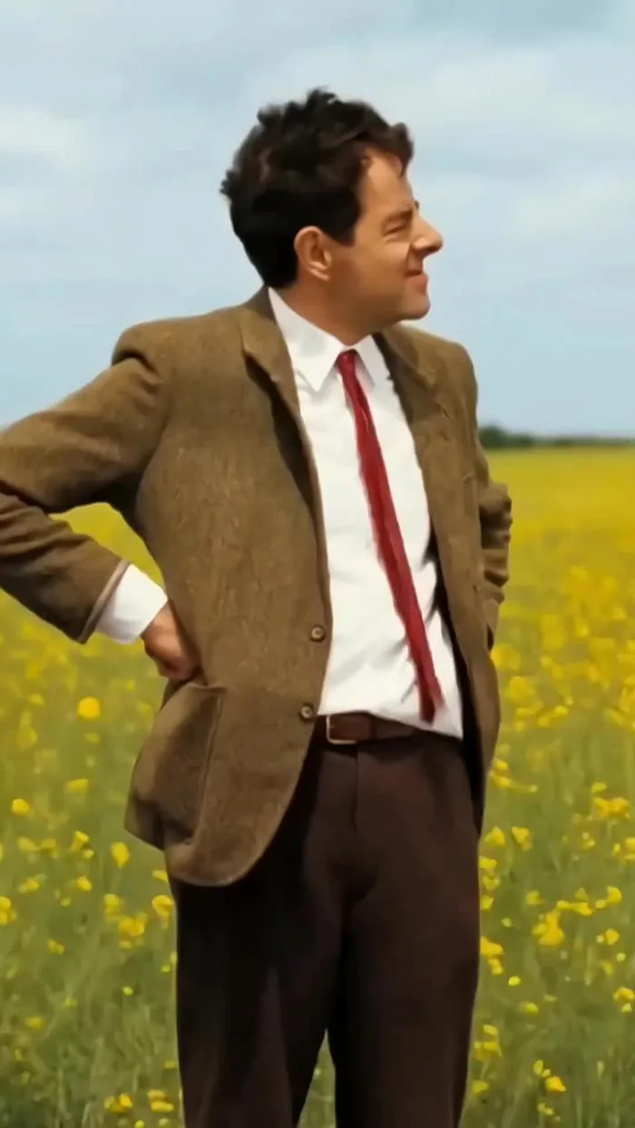 Mr Bean Memes