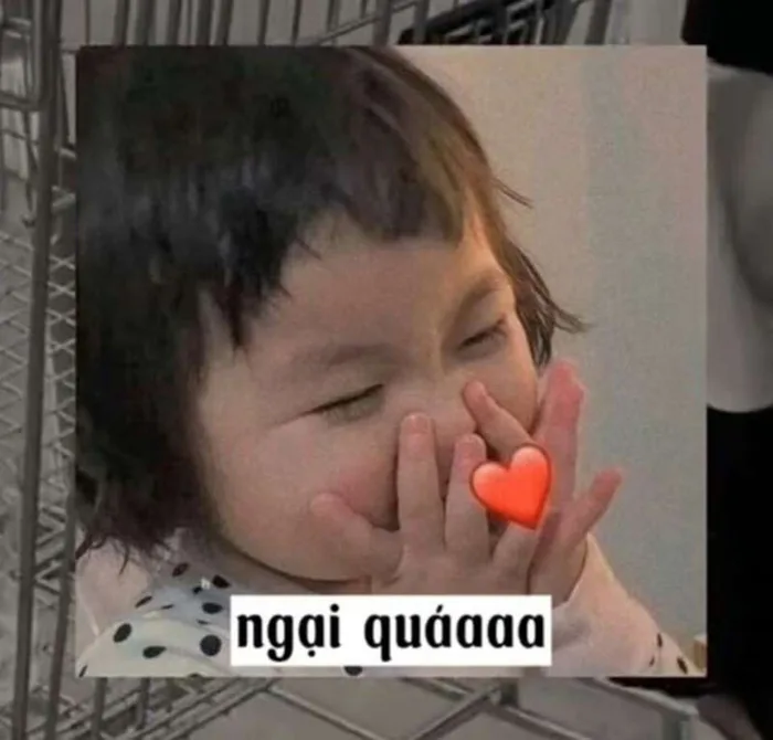 Giới thiệu bộ ảnh meme ngại ngùng đa dạng biểu cảm cực đáng yêu, mời bạn tải ngay