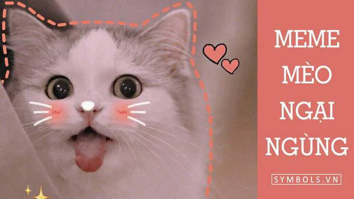 Meme Mèo Ngại Ngùng, Ngại Quá Cute [Ảnh Meme Mèo Năn Nỉ]