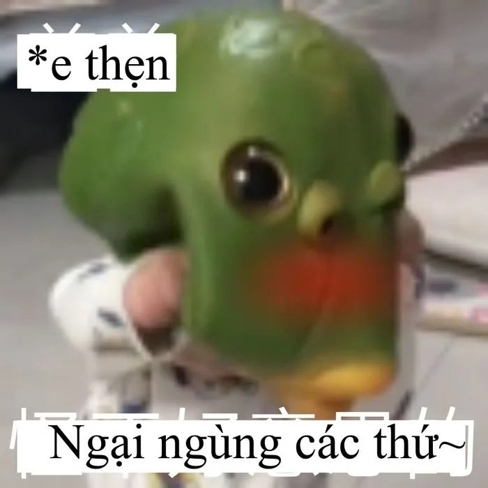 Bộ sưu tập meme đáng yêu về sự ngại ngùng, đỏ mặt và e thẹn