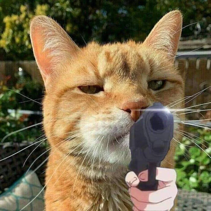 Tổng hợp những meme bất ngờ, hài hước với biểu cảm độc đáo và thú vị