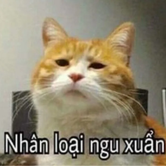 100+ hình ảnh meme hài hước, vui nhộn và hot nhất