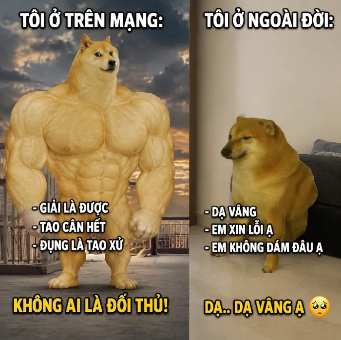 146+ Meme Chó Cơ Bắp ngầu bá đạo cười rụng răng luôn