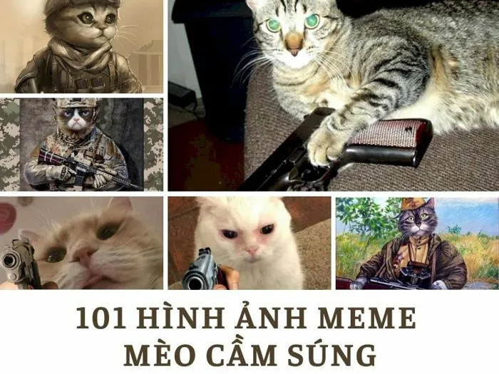 101 mẫu meme mèo cầm súng siêu ngầu, bá đạo, hài hước, tải miễn phí