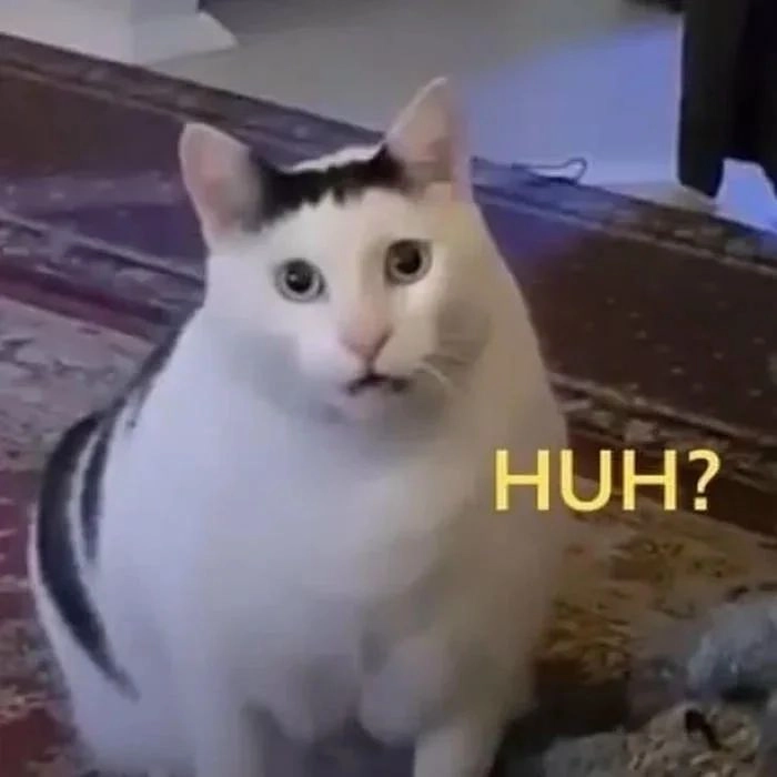 Xả stress tức thì với 77 meme mèo ngơ ngác đáng yêu vui nhộn