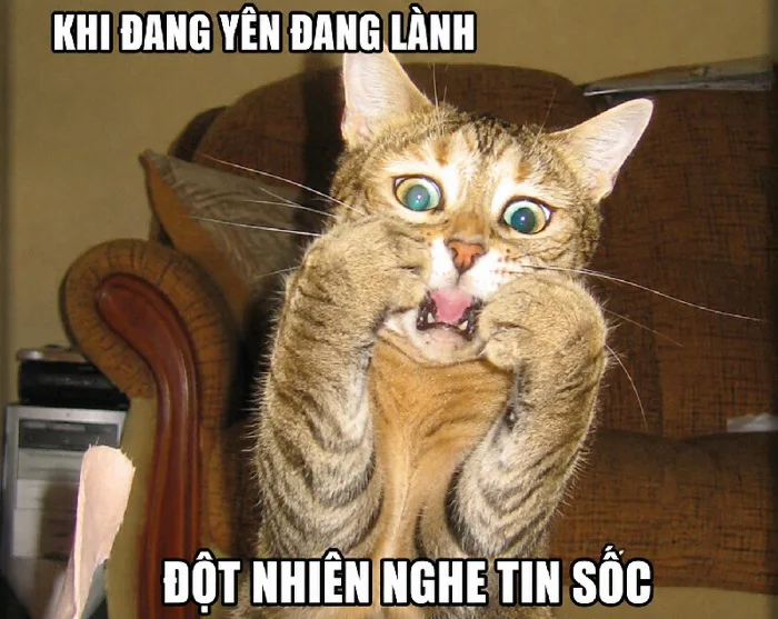 100+ Meme Bất Ngờ - Ảnh chế ngạc nhiên siêu hài bựa nhất