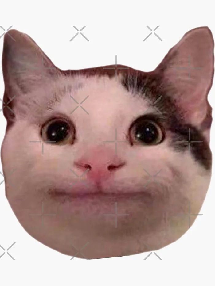 500+ meme mèo bựa, cute, khóc cười siêu vô tri hài hước cho các sen