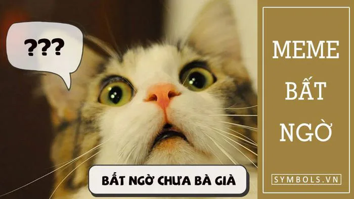 Meme Bất Ngờ Chưa Siêu Hài [90+ Ảnh Meme Bất Ngờ Lắm Phải Không]
