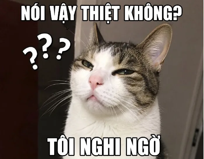 168+ Meme Nghi Ngờ hoài nghi nhân sinh ảnh chế siêu hài