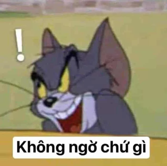 Meme Bất Ngờ Chưa Siêu Hài [90+ Ảnh Meme Bất Ngờ Lắm Phải Không]