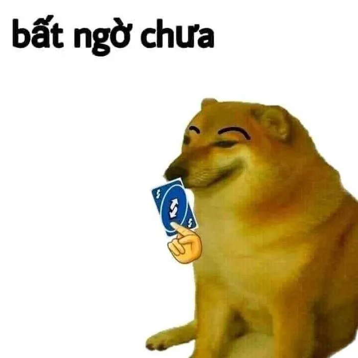 Tổng hợp những meme bất ngờ, hài hước với biểu cảm độc đáo và thú vị