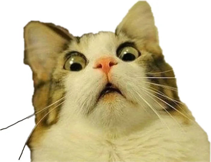 Bộ sưu tập các ảnh meme bất ngờ ấn tượng, thú vị và hài hước