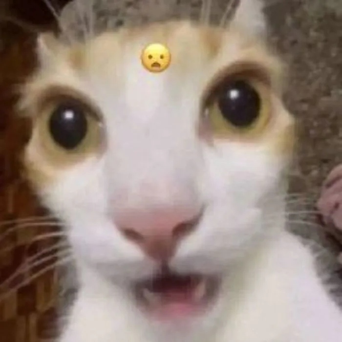 Tổng hợp ảnh meme bất ngờ hài hước làm bạn trở tay không kịp