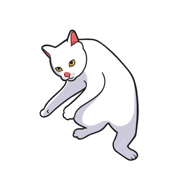 Hình ảnh Hình Dán Meme Mèo Trắng Ngốc Nghếch Trên áo Phông Minh Họa Dễ Thương PNG , Clipart Mèo, Clip Nghệ Thuật Dễ Thương, Clipart Nhãn Dán PNG và Vector với