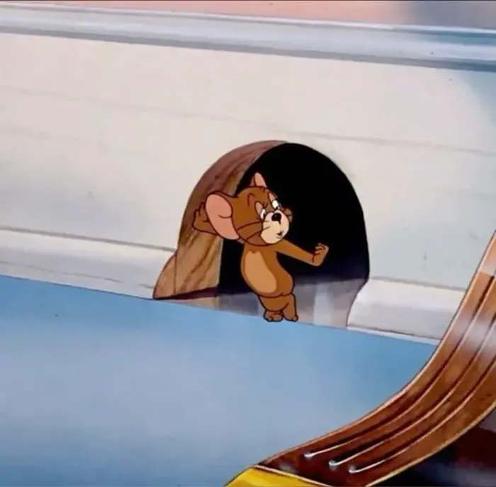 Ảnh Meme Jerry Thiểu Năng, khoảnh khắc ngốc nghếch bá đạo lan truyền trên MXH