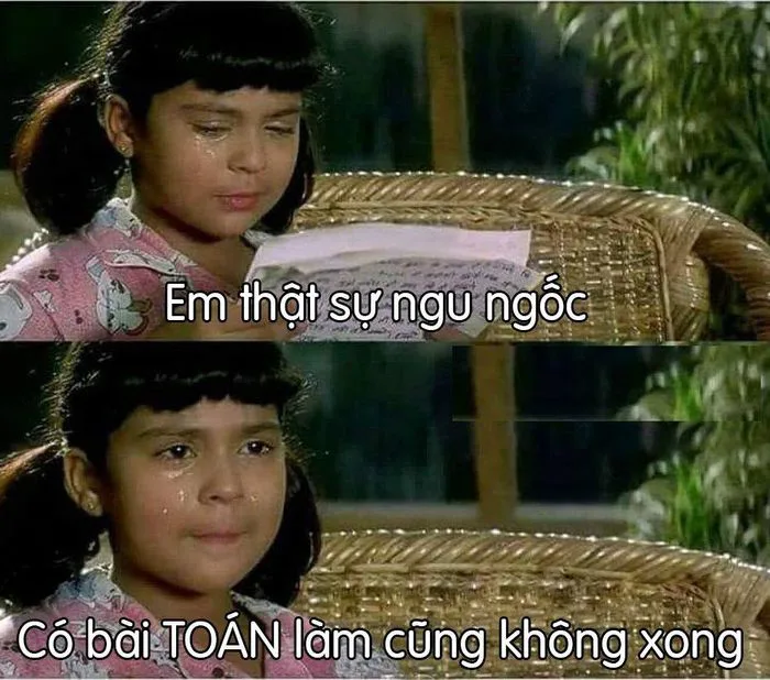 Tổng hợp meme ngu vui nhộn, độc đáo