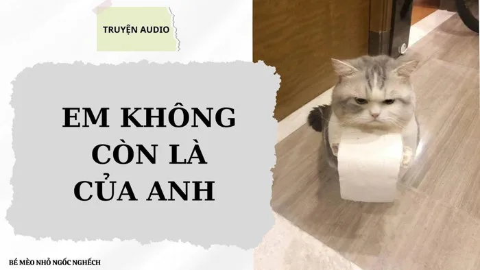 [TRUYỆN AUDIO] EM KHÔNG CÒN LÀ CỦA ANH (FULL) BÉ MÈO NHỎ NGỐC NGHẾCH