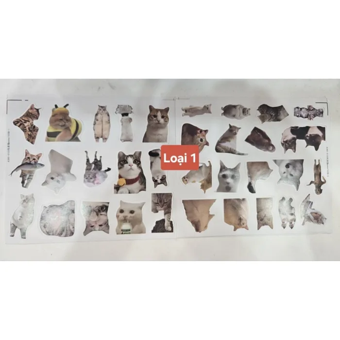 Set hơn 90 cái sticker meme Mèo ngốc nghếch
