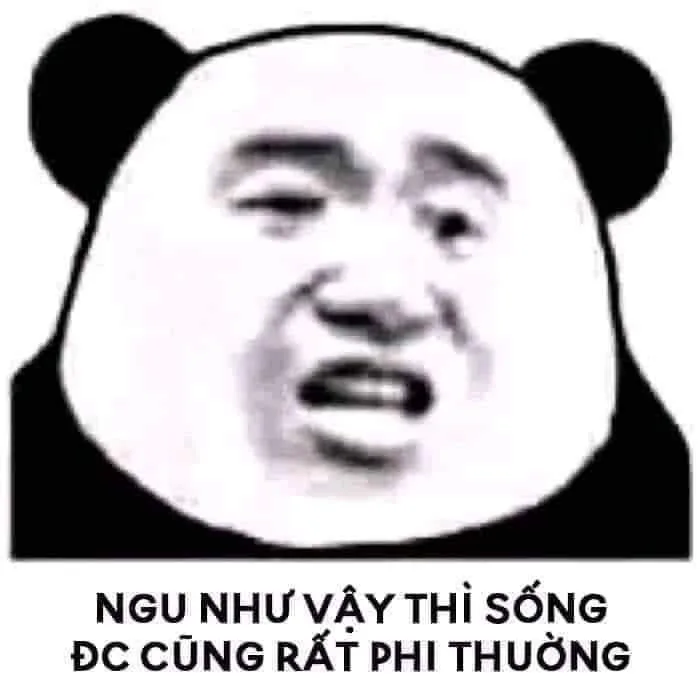 Tổng hợp meme ngu hài hước, bá đạo