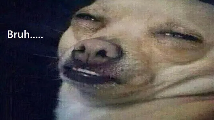 Khám phá những meme khó hiểu cực hài hước, thú vị, bá đạo nhất