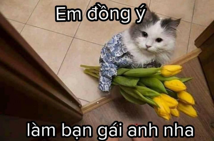 Những mẫu meme tình yêu siêu dễ thương dành cho couple, người dùng mạng xã hội