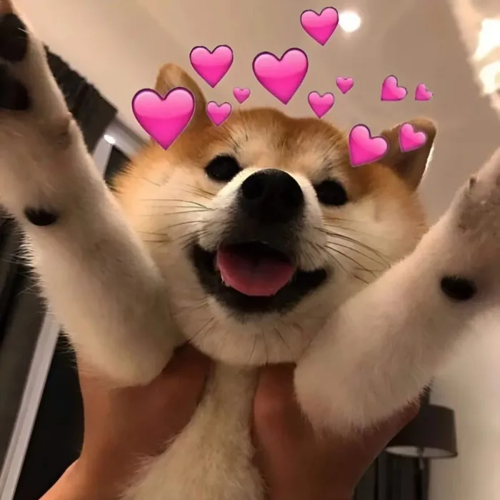 100+ Hình meme tình yêu dễ thương, cute dành cho các cặp đôi