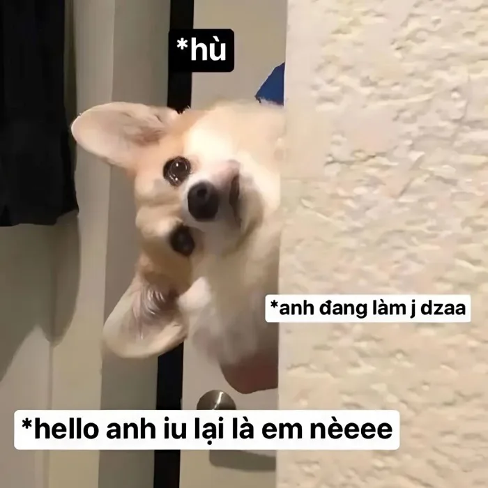 100+ Hình meme tình yêu dễ thương, cute dành cho các cặp đôi