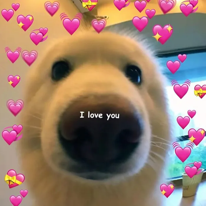 100+ Hình meme tình yêu dễ thương, cute dành cho các cặp đôi