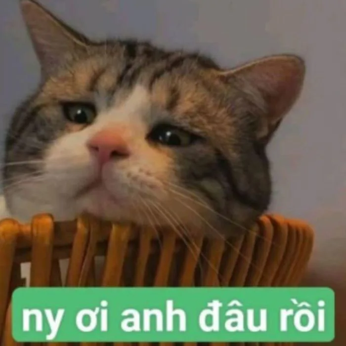 TOP 50+ meme tình yêu thổ lộ tình yêu SIÊU LẦY LỘI | Yody