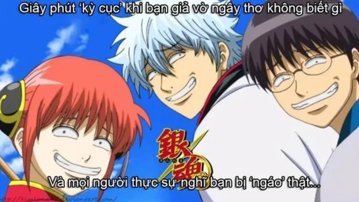 Anime meme là gì? Tổng hợp hình ảnh anime meme độc đáo, ấn tượng