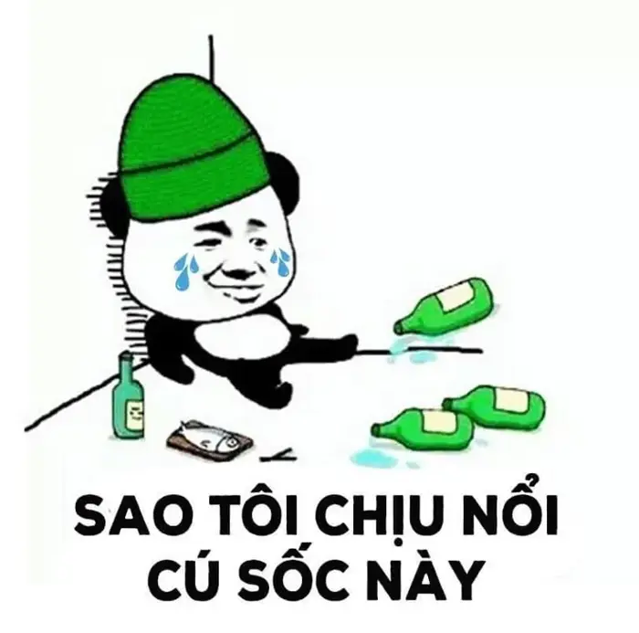 100+ ảnh Meme Nhậu Nhẹt cà khịa khoảnh khắc say xỉn và bàn tiệc bia rượu bạn bè
