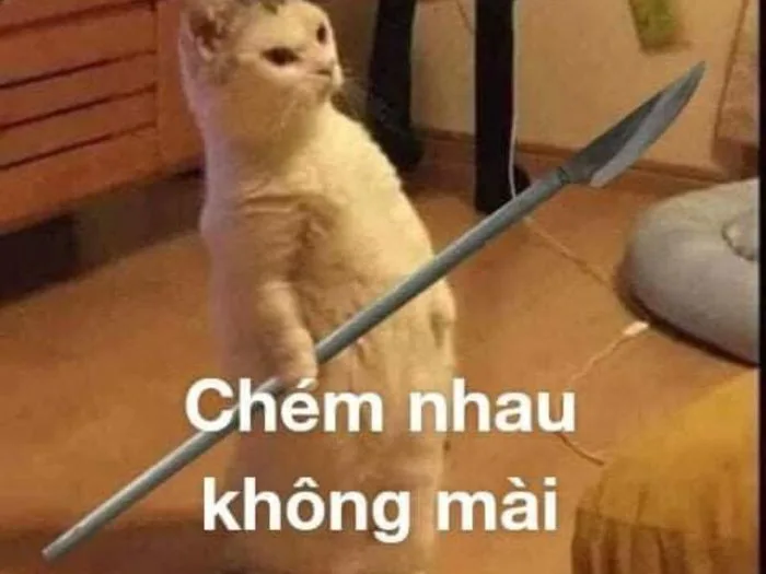 Tổng Hợp 99+ Ảnh Meme Đánh Nhau CỰC CHIẾN | Yody