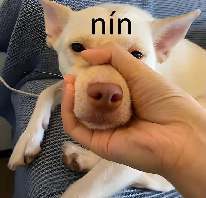 200+ Meme NÍN - Ảnh chế biểu cảm NÍN, thua thì Nín mỏ