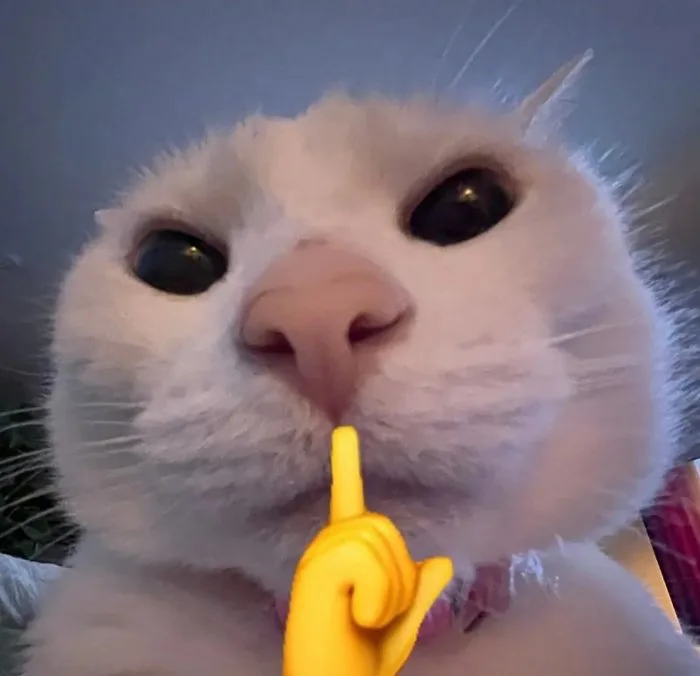 200+ Meme NÍN - Ảnh chế biểu cảm NÍN, thua thì Nín mỏ