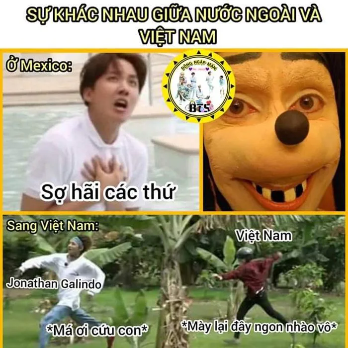 8 123vietanm ý tưởng | chuyện cười, hài hước, ảnh vui nhộn