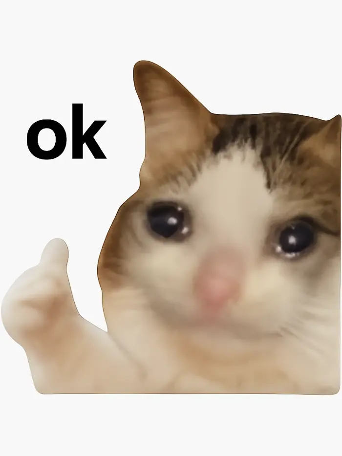 Sad cat meme saying 