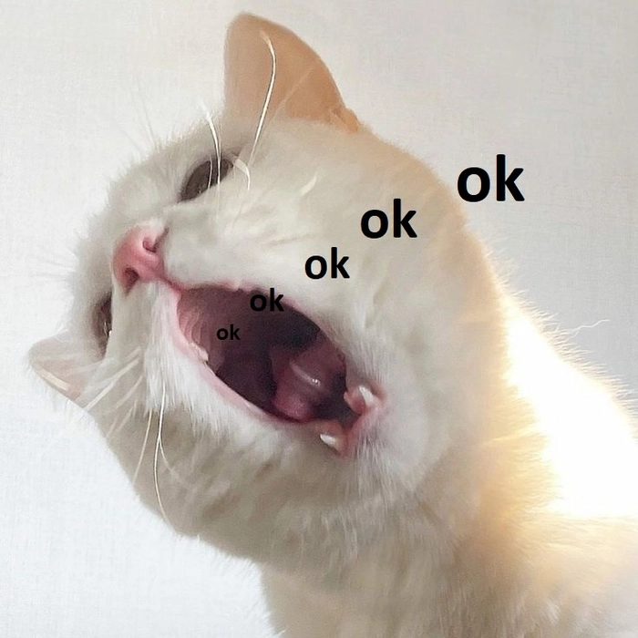 142+ Meme Mèo OK chất lừ bá đạo cười sặc cơm cả ngày