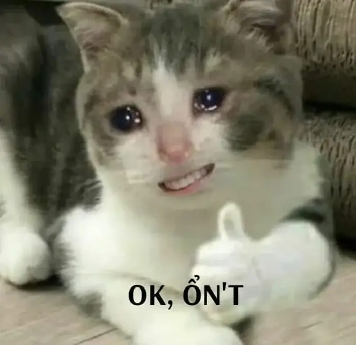 Tổng hợp ảnh ok meme hài hước khiến bạn bật cười cả ngày