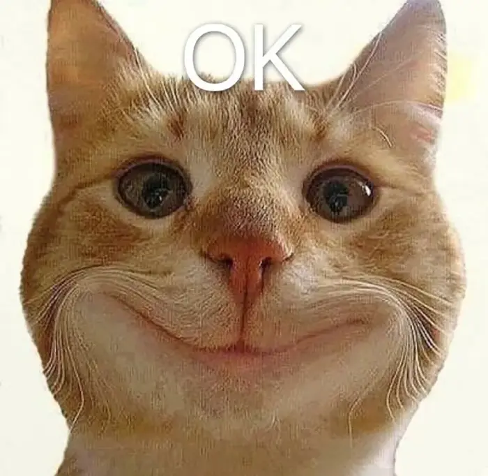 Những ảnh meme oke vui nhộn dành cho các tín đồ mạng xã hội