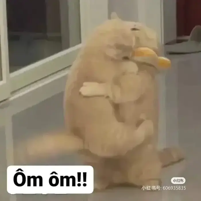 meme-om-1