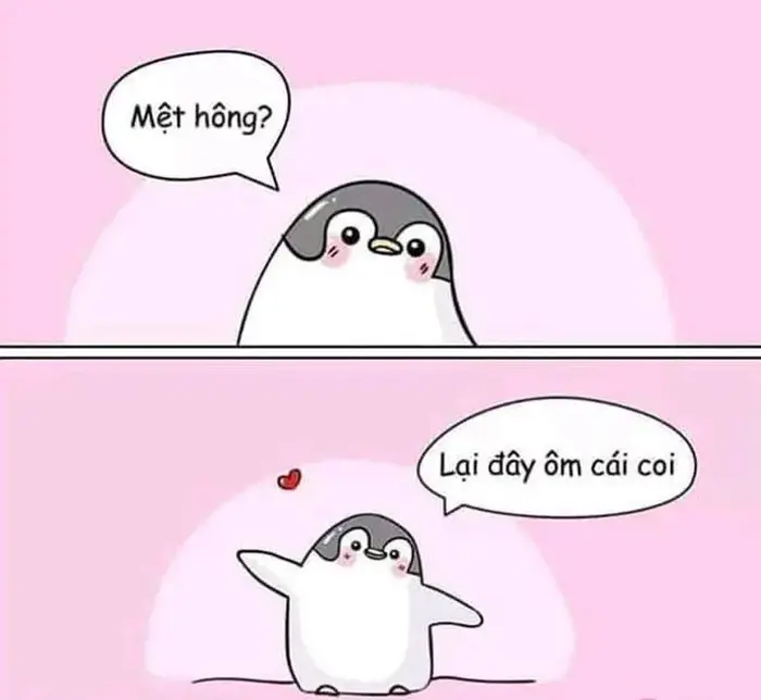 Bộ sưu tập ảnh meme ôm ngộ nghĩnh và hài hước nhất