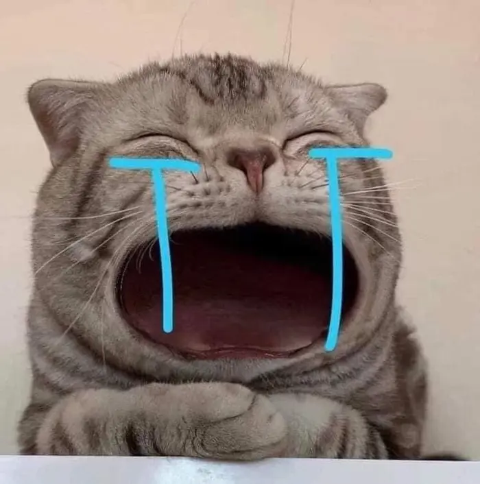 Khám phá loạt ảnh ôm meme trend mới nhất hiện nay