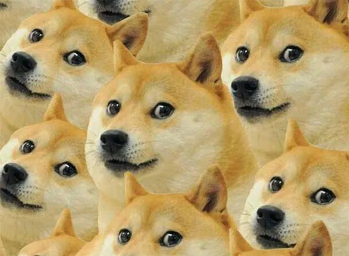 Meme là gì? Top 10+ meme được giới trẻ yêu thích nhất hiện nay