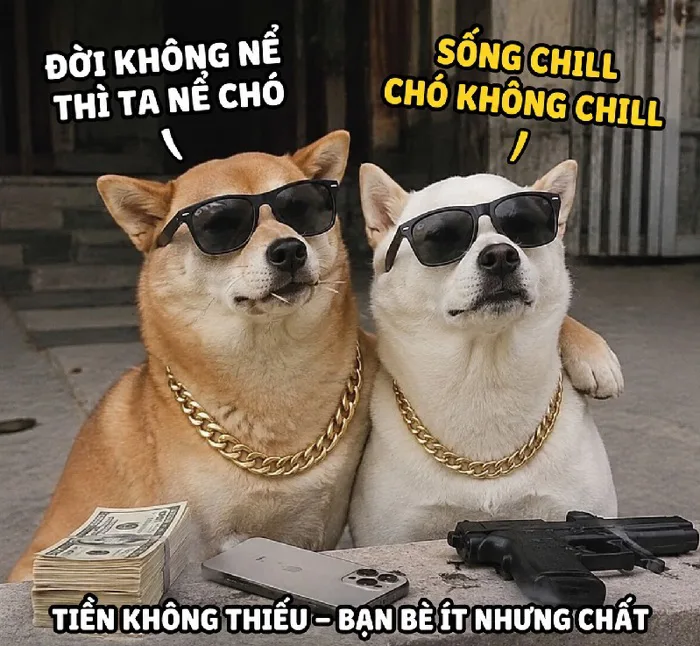 145+ Meme 2 Con Chó bựa hết nấc cười té ghế