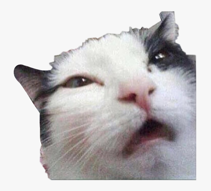 meme #cats #freetoedit - Transparent Png Meme Cats, Png Download ,  Transparent Png Image - PNGitem